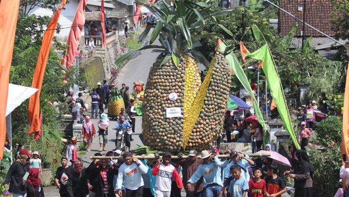 Festival Nanas di Kediri Panitia membagikan buah nanas kepada warga saat Festival Nanas di kawasan penghasil nanas lereng gunung Kelud Desa Sugihwaras, Kediri, Jawa Timur, Minggu (7/5/2023). Kegiatan dengan membagiakan ribuan buah nanas secara gratis tersebut sebagai upaya mempromosikan nanas unggulan hasil panen petani lereng gunung Kelud yang tersebar di 13 desa. ANTARA FOTO/Prasetia Fauzani/YU
