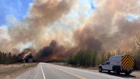 Sepanjang tahun ini, ada 43.000 hektar area yang tebakar.