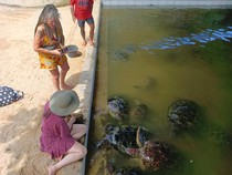 Pulau Penyu Bali: Daya Tarik, Lokasi, Harga Tiket, Jam Buka, dan Rute