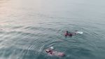 Aksi Ria Ricis Nyebur ke Laut Pakai Gamis