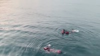 Ria Ricis menikmati pemandangan di Pulau Karimunjawa. Foto: TikTok Ria Ricis