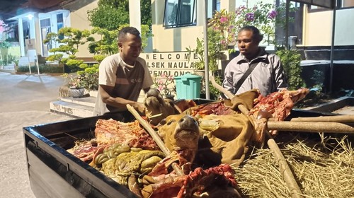 Warga yang kehilangan ternak sapi di Kelurahan Fatukoa membuat laporan pencurian di Polsek Maulafa, Kota Kupang, NTT. (Yufen Bria/detikBali).