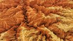 Potret Gunung Dahong China yang Menyerupai Dataran Mars