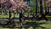 Orang-orang mengambil foto saat berjalan di taman dekat pohon sakura yang bermekaran di Kyiv, Ukraina, Sabtu (6/5/2023).  