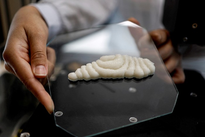 Fillet ikan tiruan buatan Perusahaan Start-Up dari Israel