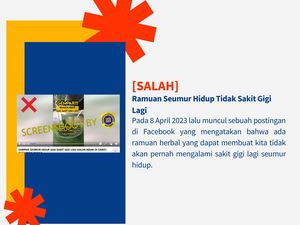 Heboh Ramuan Herbal Anti Sakit Gigi Seumur Hidup, Diskominfo DIY: Hoax!