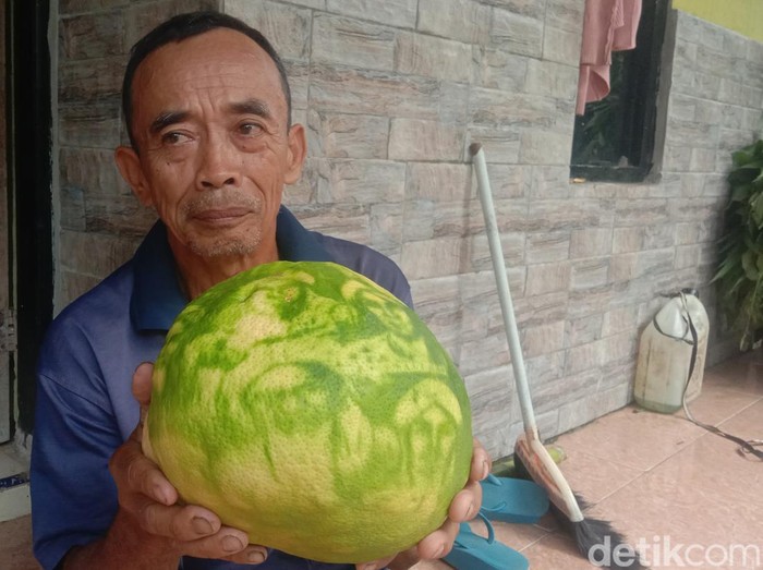 Jeruk bergambar wali sanga di Jepara. Foto diambil Senin (8/5/2023).