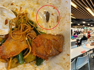 Duh! Pelanggan Ini Temukan Kecoa Mati Dalam Mangkuk Mienya