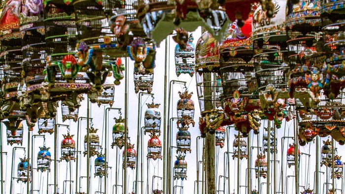 Owners look on as birds in their cages are seen hung on poles as part of a songbird competition in Yogyakarta on May 6, 2023. (Photo by DEVI RAHMAN / AFP) (Photo by DEVI RAHMAN/AFP via Getty Images)
