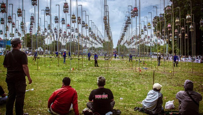 Owners look on as birds in their cages are seen hung on poles as part of a songbird competition in Yogyakarta on May 6, 2023. (Photo by DEVI RAHMAN / AFP) (Photo by DEVI RAHMAN/AFP via Getty Images)