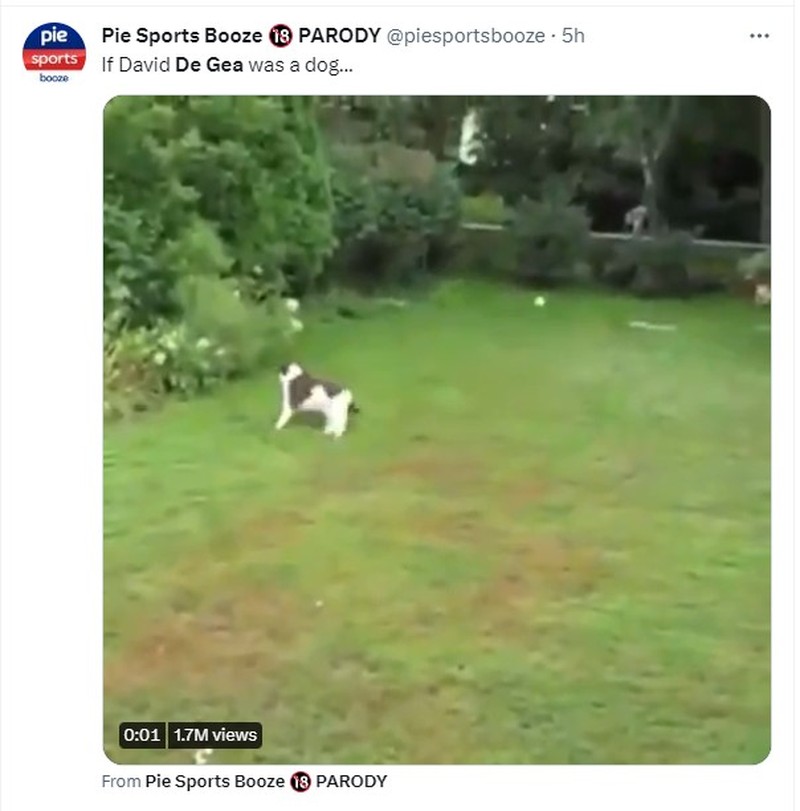 Meme De Gea