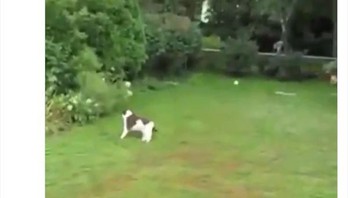 Gambaran aksi De Gea saat blunder di laga MU Vs West Ham. Foto: Twitter