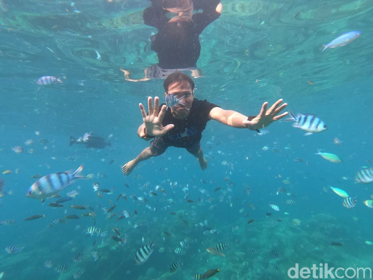 Menikmati wisata snorkeling di bawah laut Karimunjawa, Jepara, Senin (8/5/2023).