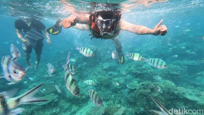 Menikmati wisata snorkeling di bawah laut Karimunjawa, Jepara, Senin (8/5/2023).