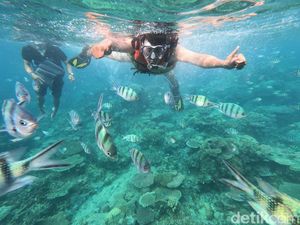 Harga Tiket ke Karimunjawa, Rute, Lokasi, dan Daya Tariknya