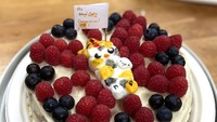 Versi simpel tapi menggemaskan, cake ini dibuat dengan topping blueberry dan raspberry segar. Ada juga sosok kucing imut di tengahnya. Foto: Twitter @NowThenSunshine