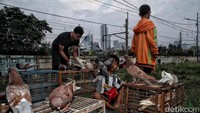 Padahal, potensi pengangguran lebih banyak di kota, karena ketatnya persaingan. Perantau diimbau untuk membekali diri dengan pendidikan dan keahlian.  
