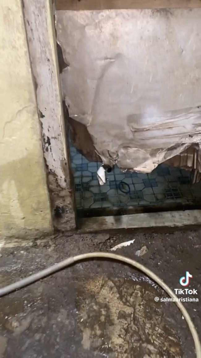Di bagian bawah pintu kamar mandi rumahnya itu tampak bolong. Salma menyebut jika pintu kamar mandinya itu memiliki lembah. Dalam video berbeda ia bahkan mengatakan bahwa kamar mandinya berkonsep thriller yang terkesan mistis. Foto: TikTok/@salmaaristiana
