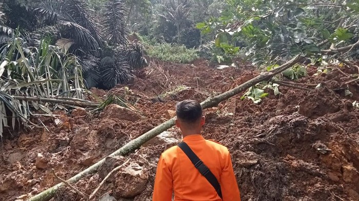 BPBD Kabupaten Bogor Catat 342 Jiwa Mengungsi Akibat Bencana Tanah Longsor