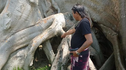 Tim Dinas Kebudayaan Tabanan mencatat temuan objek diduga cagar budaya berupa mangkok kuno di Kayu Putih, Desa Adat Bayang.