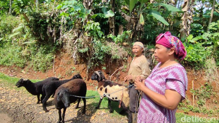 Warga Kawunglarang, Ciamis yang resah karena keberadaan anjing liar pemangsa ternak