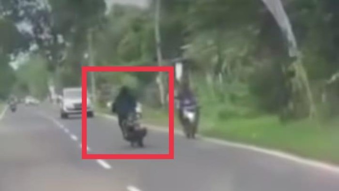 wong gendeng motoran zig zag di jalur ponorogo-pacitan