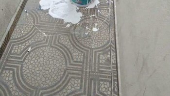 Ada yang berendam dalam cat...Foto: Reddit