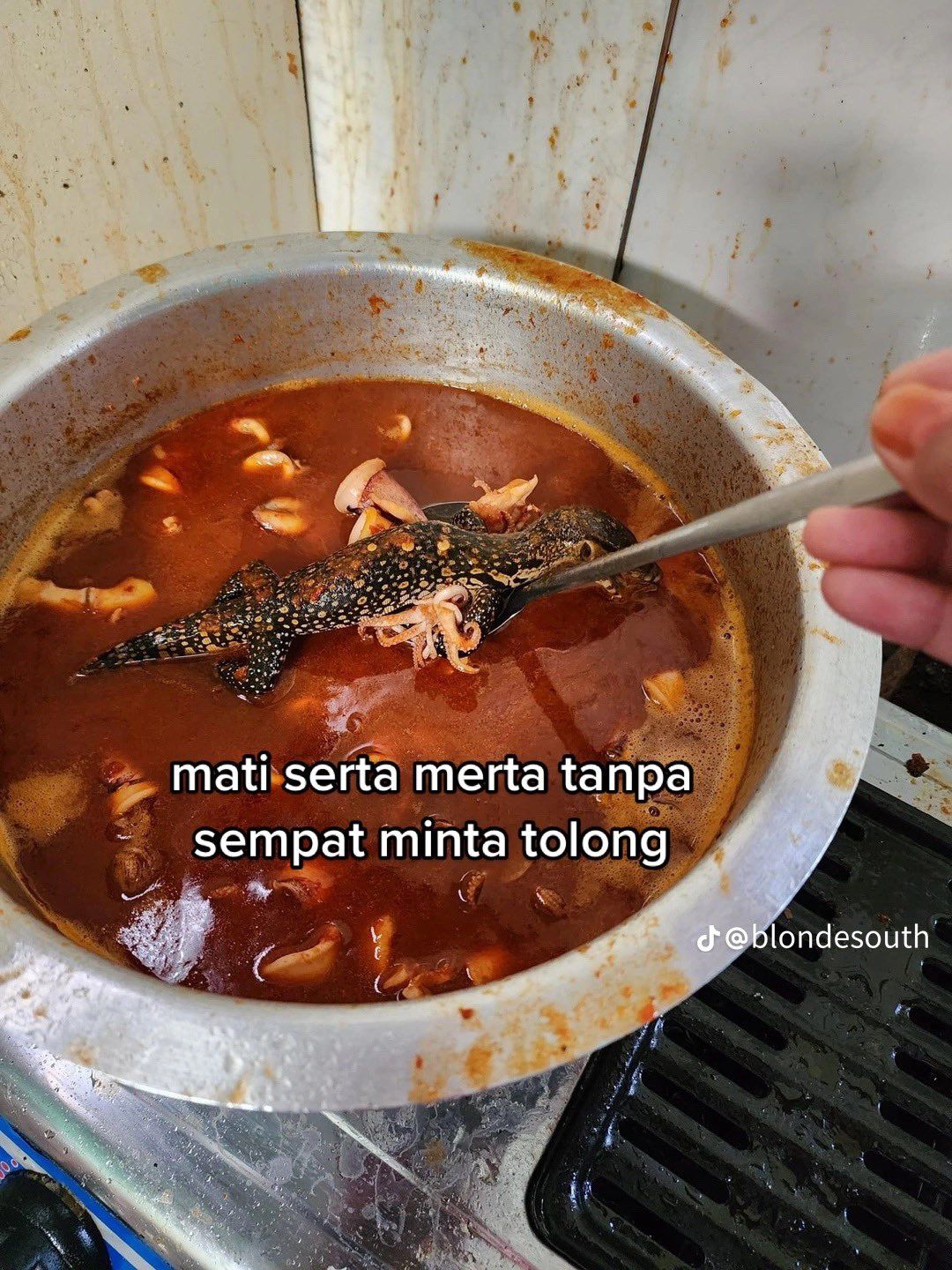 Apes! Sambal Sotong 3 Kg Harus Dibuang Karena Kemasukan Biawak