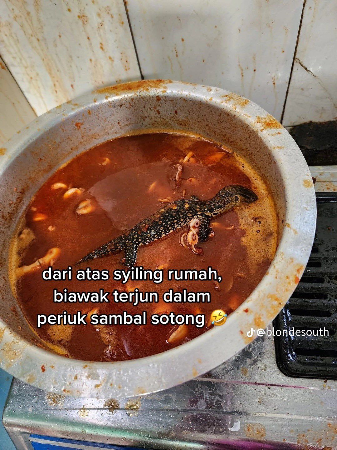 Apes! Sambal Sotong 3 Kg Harus Dibuang Karena Kemasukan Biawak