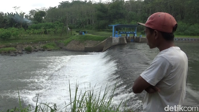 Fenomena Semburan Air Muncul di Kali Asem Kagetkan Warga Lumajang