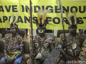 Hutan Adat Diserobot, Suku Awyu Papua Datangi Komnas HAM