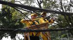 Jelang KTT ASEAN, Kabel Semrawut di Jalan Jenderal Sudirman Dirapikan