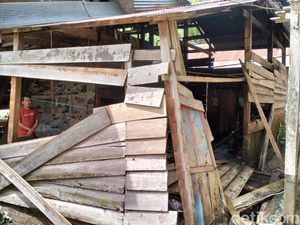 Banjir Rendam 15 Ha Sawah di Matangnga Polman, Padi Rusak-Sapi Warga Mati