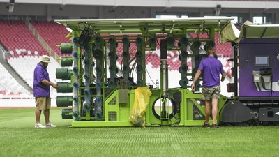 Melihat Proses Jahit Rumput Stadion GBK