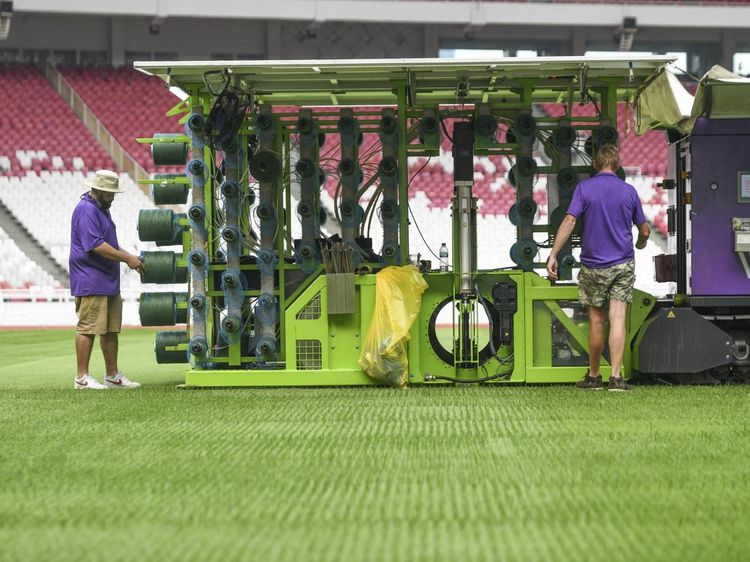 Melihat Proses Jahit Rumput Stadion GBK