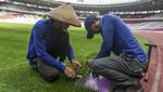 Melihat Proses Jahit Rumput Stadion GBK