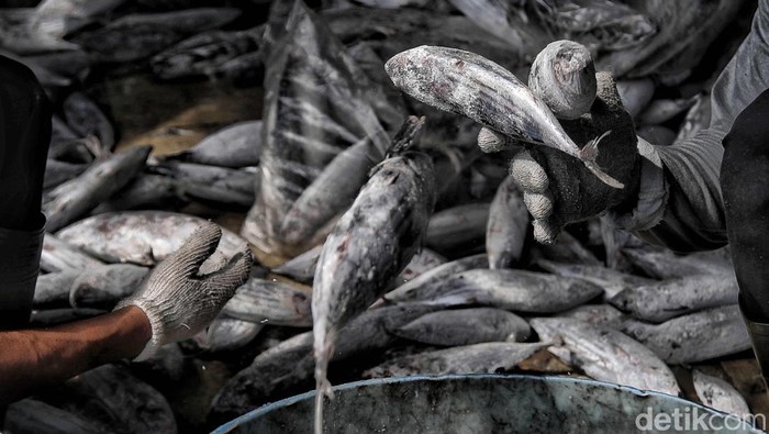 Usai menuai pro-kontra, Peraturan tentang Penangkapan Ikan Terukur (PIT) diundangkan pada 6 Maret 2023. Tujuannya untuk memberantas praktik penangkapan ikan ilegal.