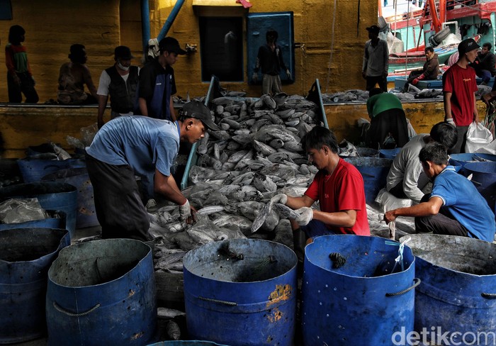 Usai menuai pro-kontra, Peraturan tentang Penangkapan Ikan Terukur (PIT) diundangkan pada 6 Maret 2023. Tujuannya untuk memberantas praktik penangkapan ikan ilegal.