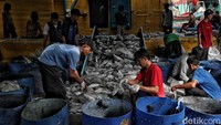 Melalui PIT, kegiatan penangkapan ikan di laut Indonesia diatur dalam sistem kuota dan zonasi untuk menghindari jumlah tangkapan berlebih.