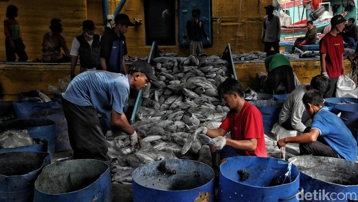 Usai menuai pro-kontra, Peraturan tentang Penangkapan Ikan Terukur (PIT) diundangkan pada 6 Maret 2023. Tujuannya untuk memberantas praktik penangkapan ikan ilegal.