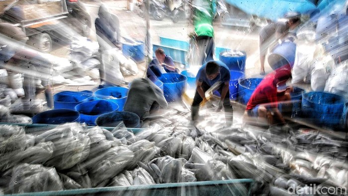 Usai menuai pro-kontra, Peraturan tentang Penangkapan Ikan Terukur (PIT) diundangkan pada 6 Maret 2023. Tujuannya untuk memberantas praktik penangkapan ikan ilegal.