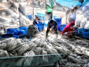 Aktivitas Nelayan Muara Baru di Tengah Polemik Penangkapan Ikan Terukur