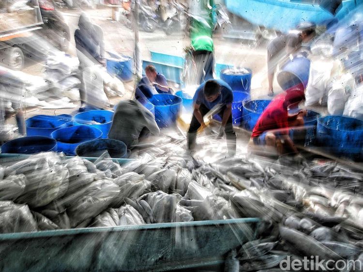 Aktivitas Nelayan Muara Baru di Tengah Polemik Penangkapan Ikan Terukur