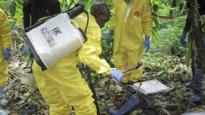 Potret Penemuan Kuburan Massal di Kongo A man looks over the cordon at human remains in a mass grave in the village of Ndoma, near Beni in North Kivu, Congo Saturday, May 6, 2023. The remains of at least 20 people were found buried in a mass grave in an area used to cultivate cacao in Ndoma village in Congo's North Kivu province this weekend, according to local authorities and a military spokesperson. (AP Photo)