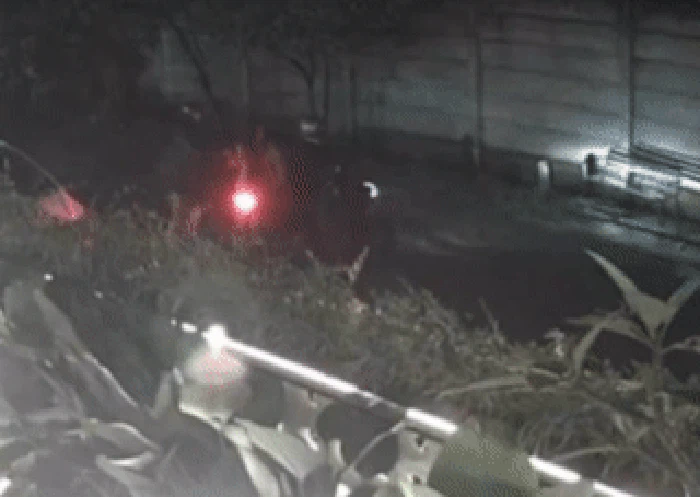 Rekaman CCTV Keysa (19) remaja asal Bandung diculik dua pria