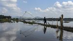 Banjir Rendam Lahan Pertanian di Desa Sidarahayu Ciamis