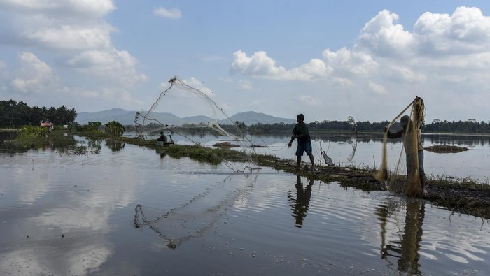 Pengendara motor melintasi genangan banjir di Desa Sukamulya, Kabupaten Ciamis, Jawa Barat, Rabu (10/5/2023).Sejak sepekan, lahan seluas 5.000 hektare di kawasan lumbung padi Kabupaten Ciamis dilanda banjir akibat intensitas curah hujan yang tinggi sehingga anak sungai Citanduy meluap. ANTARA FOTO/Adeng Bustomi/nz