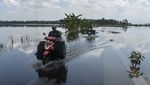 Banjir Rendam Lahan Pertanian di Desa Sidarahayu Ciamis