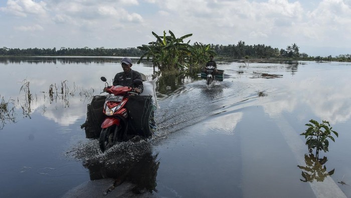 Pengendara motor melintasi genangan banjir di Desa Sukamulya, Kabupaten Ciamis, Jawa Barat, Rabu (10/5/2023).Sejak sepekan, lahan seluas 5.000 hektare di kawasan lumbung padi Kabupaten Ciamis dilanda banjir akibat intensitas curah hujan yang tinggi sehingga anak sungai Citanduy meluap. ANTARA FOTO/Adeng Bustomi/nz
