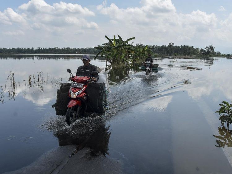 Banjir Rendam Lahan Pertanian di Desa Sidarahayu Ciamis